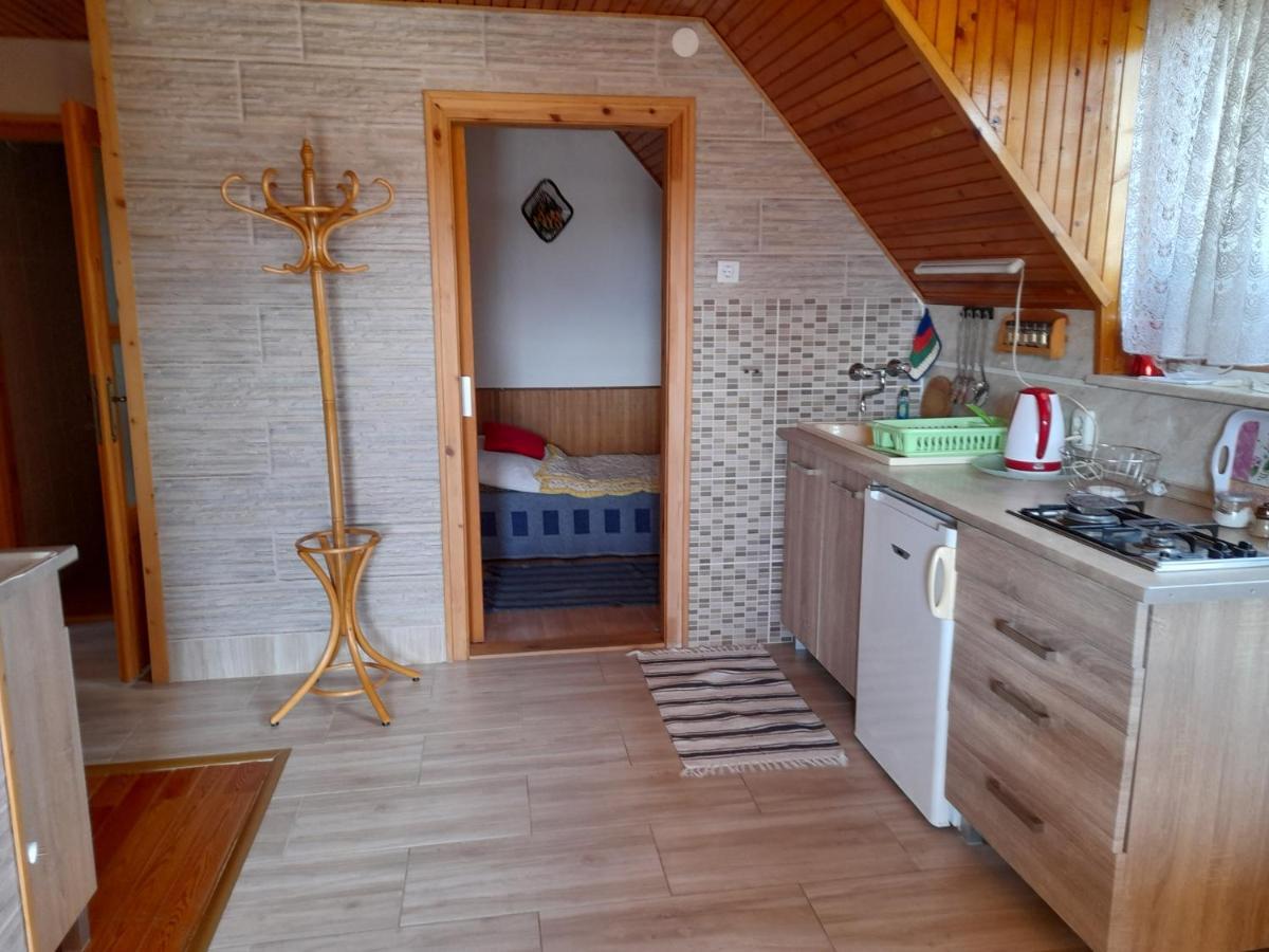 Apartament Harmonia Vendeghaz 100 Meterre Az Igali Gyogyfuerdotol Zewnętrze zdjęcie