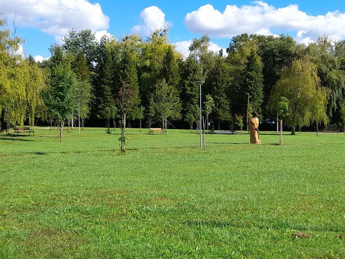 Apartament Harmonia Vendeghaz 100 Meterre Az Igali Gyogyfuerdotol Zewnętrze zdjęcie