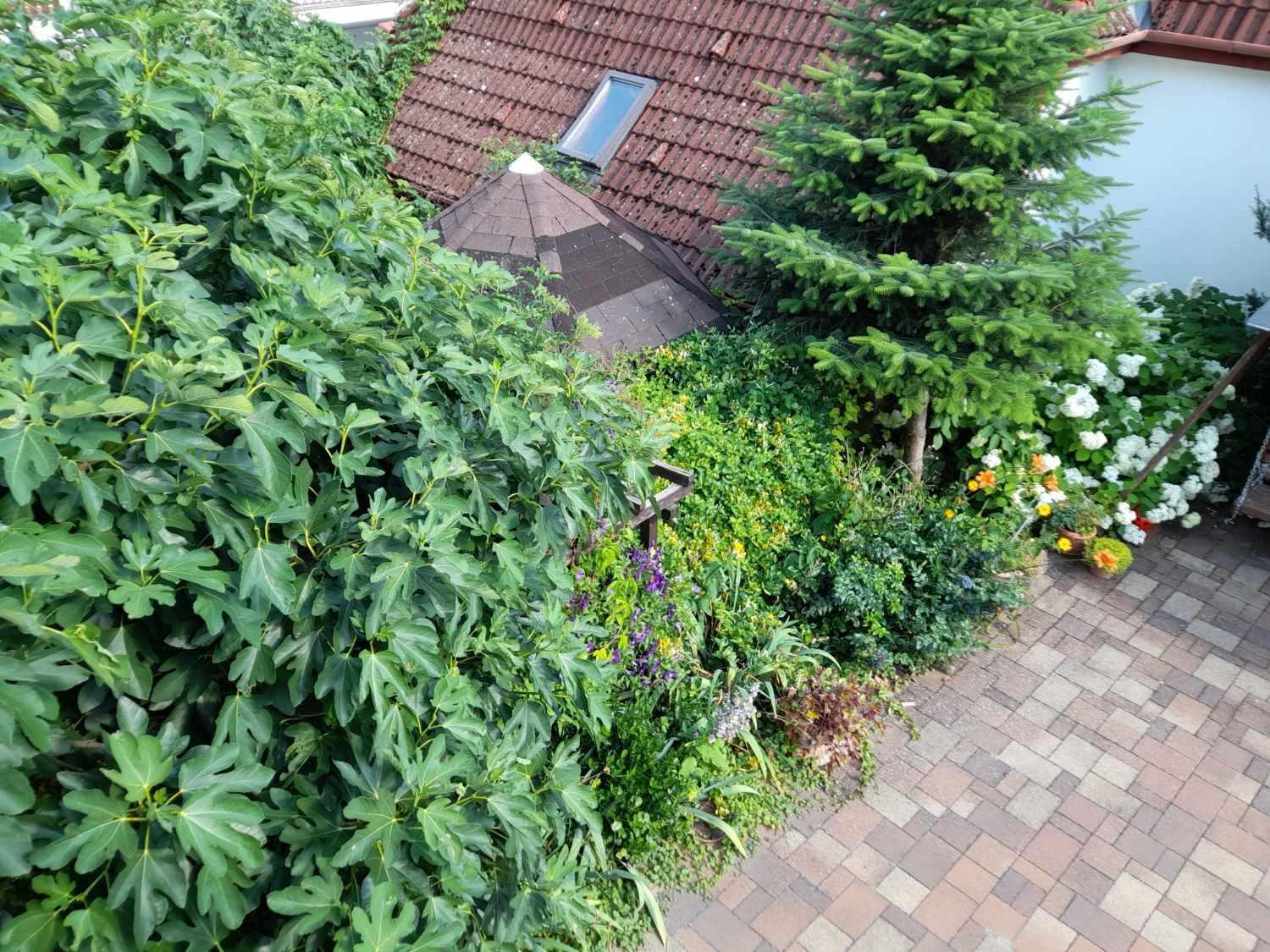 Apartament Harmonia Vendeghaz 100 Meterre Az Igali Gyogyfuerdotol Zewnętrze zdjęcie